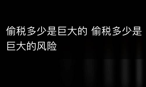 偷税多少是巨大的 偷税多少是巨大的风险