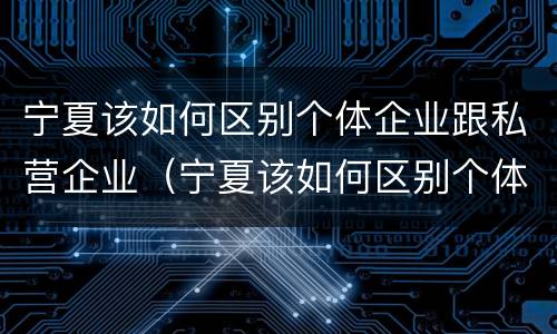 宁夏该如何区别个体企业跟私营企业（宁夏该如何区别个体企业跟私营企业的区别）