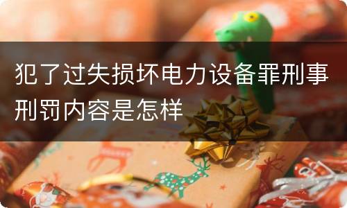 犯了过失损坏电力设备罪刑事刑罚内容是怎样