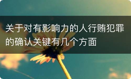 关于对有影响力的人行贿犯罪的确认关键有几个方面