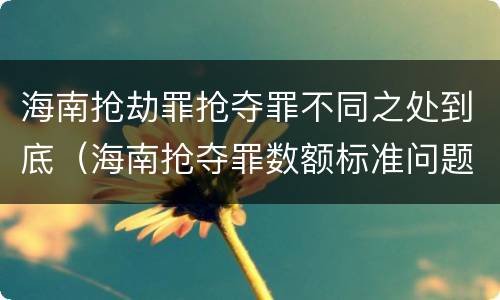 海南抢劫罪抢夺罪不同之处到底（海南抢夺罪数额标准问题的规定）