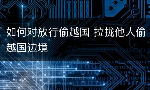 如何对放行偷越国 拉拢他人偷越国边境