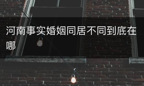 河南事实婚姻同居不同到底在哪