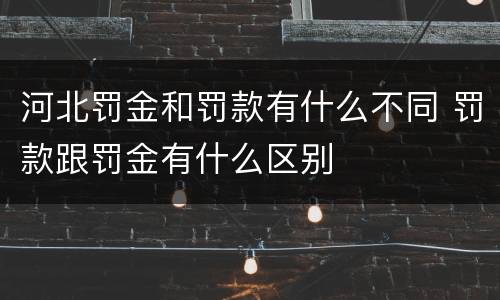 河北罚金和罚款有什么不同 罚款跟罚金有什么区别