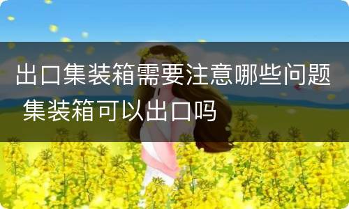 出口集装箱需要注意哪些问题 集装箱可以出口吗