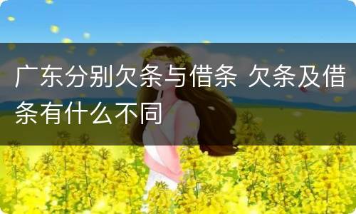 广东分别欠条与借条 欠条及借条有什么不同