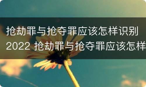 抢劫罪与抢夺罪应该怎样识别2022 抢劫罪与抢夺罪应该怎样识别2022年