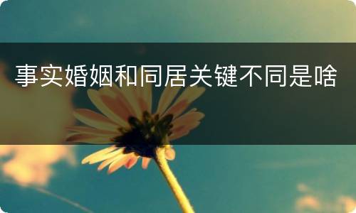 事实婚姻和同居关键不同是啥