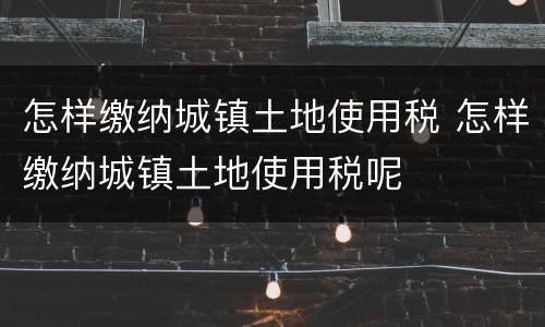 怎样缴纳城镇土地使用税 怎样缴纳城镇土地使用税呢