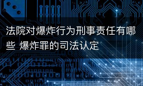法院对爆炸行为刑事责任有哪些 爆炸罪的司法认定