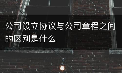 公司设立协议与公司章程之间的区别是什么