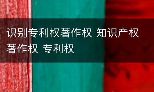 识别专利权著作权 知识产权 著作权 专利权