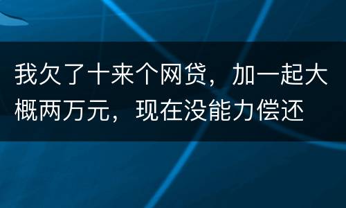 我欠了十来个网贷，加一起大概两万元，现在没能力偿还