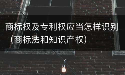 商标权及专利权应当怎样识别（商标法和知识产权）
