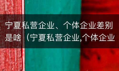 宁夏私营企业、个体企业差别是啥（宁夏私营企业,个体企业差别是啥呢）