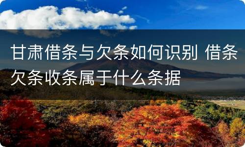 甘肃借条与欠条如何识别 借条欠条收条属于什么条据