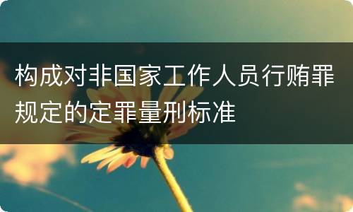 构成对非国家工作人员行贿罪规定的定罪量刑标准