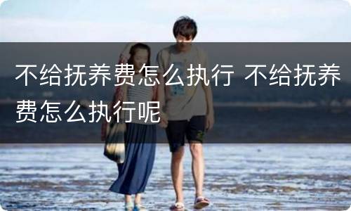 不给抚养费怎么执行 不给抚养费怎么执行呢