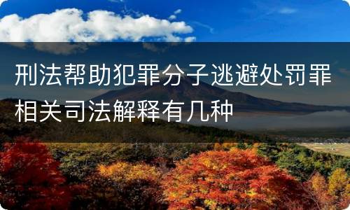 刑法帮助犯罪分子逃避处罚罪相关司法解释有几种