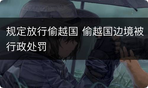 规定放行偷越国 偷越国边境被行政处罚