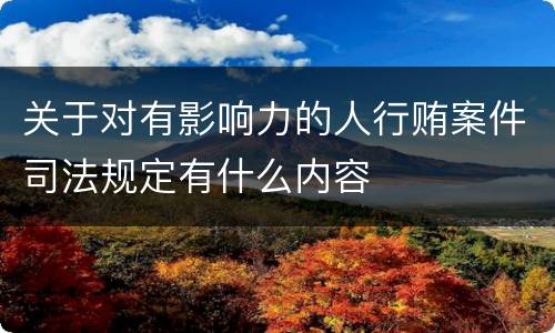 关于对有影响力的人行贿案件司法规定有什么内容
