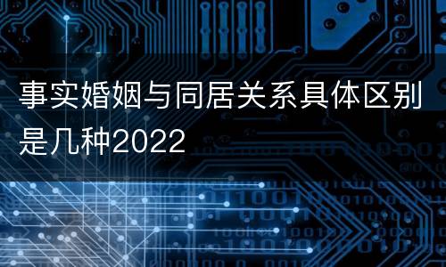 事实婚姻与同居关系具体区别是几种2022