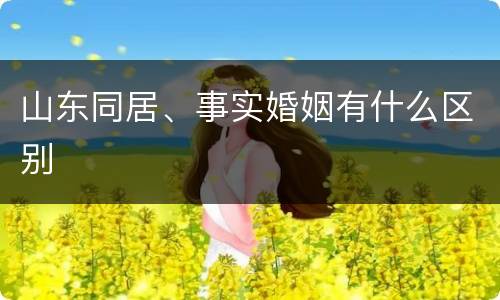 山东同居、事实婚姻有什么区别