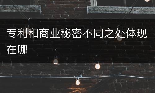 专利和商业秘密不同之处体现在哪