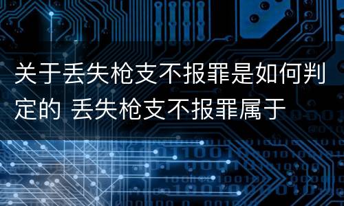 关于丢失枪支不报罪是如何判定的 丢失枪支不报罪属于