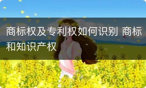 商标权及专利权如何识别 商标和知识产权