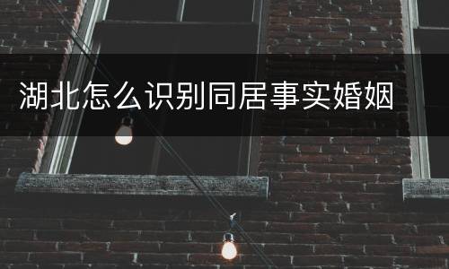 湖北怎么识别同居事实婚姻