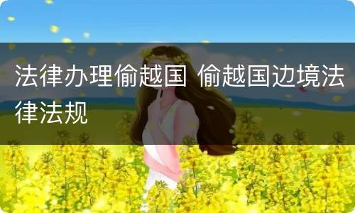 法律办理偷越国 偷越国边境法律法规