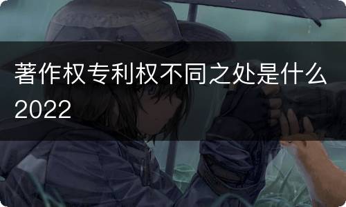 著作权专利权不同之处是什么2022