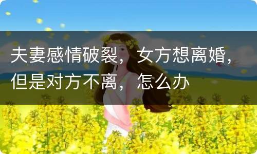 夫妻感情破裂，女方想离婚，但是对方不离，怎么办