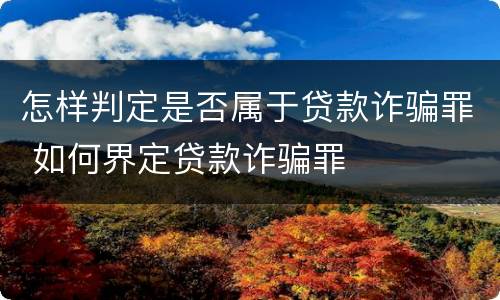 怎样判定是否属于贷款诈骗罪 如何界定贷款诈骗罪