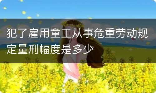 犯了雇用童工从事危重劳动规定量刑幅度是多少