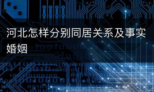 河北怎样分别同居关系及事实婚姻