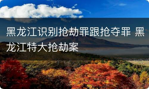 黑龙江识别抢劫罪跟抢夺罪 黑龙江特大抢劫案