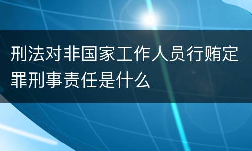 刑法对非国家工作人员行贿定罪刑事责任是什么
