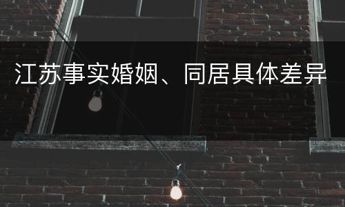 江苏事实婚姻、同居具体差异
