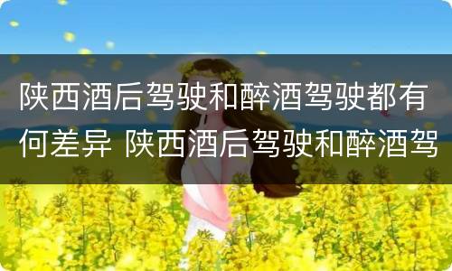 陕西酒后驾驶和醉酒驾驶都有何差异 陕西酒后驾驶和醉酒驾驶都有何差异呢