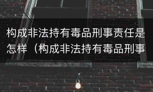 构成非法持有毒品刑事责任是怎样（构成非法持有毒品刑事责任是怎样的）