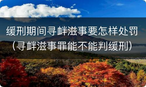 缓刑期间寻衅滋事要怎样处罚（寻衅滋事罪能不能判缓刑）