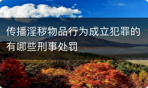 传播淫秽物品行为成立犯罪的有哪些刑事处罚