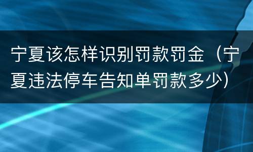 宁夏该怎样识别罚款罚金（宁夏违法停车告知单罚款多少）
