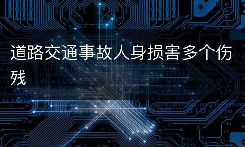 道路交通事故人身损害多个伤残