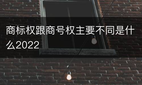 商标权跟商号权主要不同是什么2022