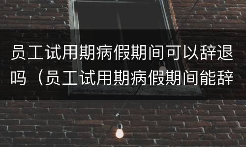 员工试用期病假期间可以辞退吗（员工试用期病假期间能辞退吗）