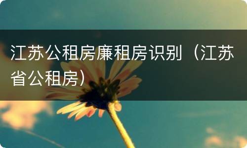 江苏公租房廉租房识别（江苏省公租房）