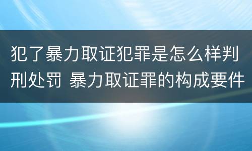 犯了暴力取证犯罪是怎么样判刑处罚 暴力取证罪的构成要件